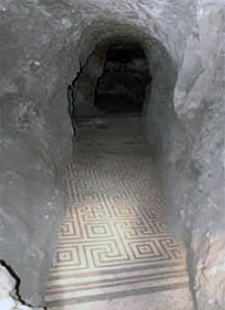 Villa dei Papiri, Herculaneum. July 2010. Looking across mosaic floor in Bourbon tunnel.
